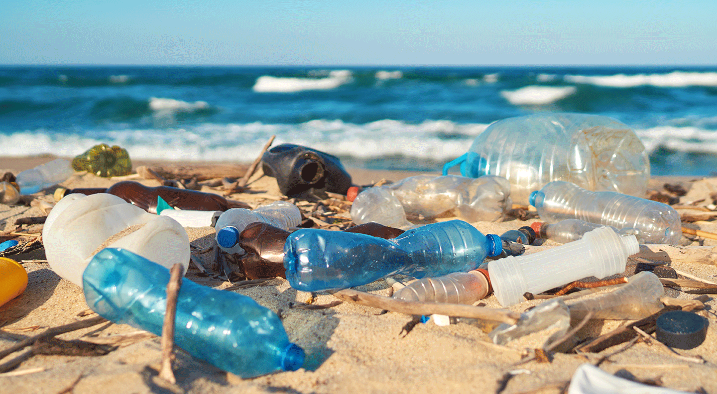 Пластиковый океан 2016